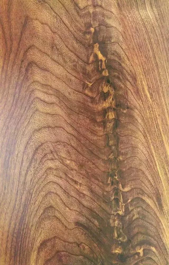 賞析：木皮之美！
