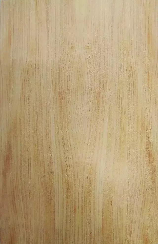 賞析：木皮之美！